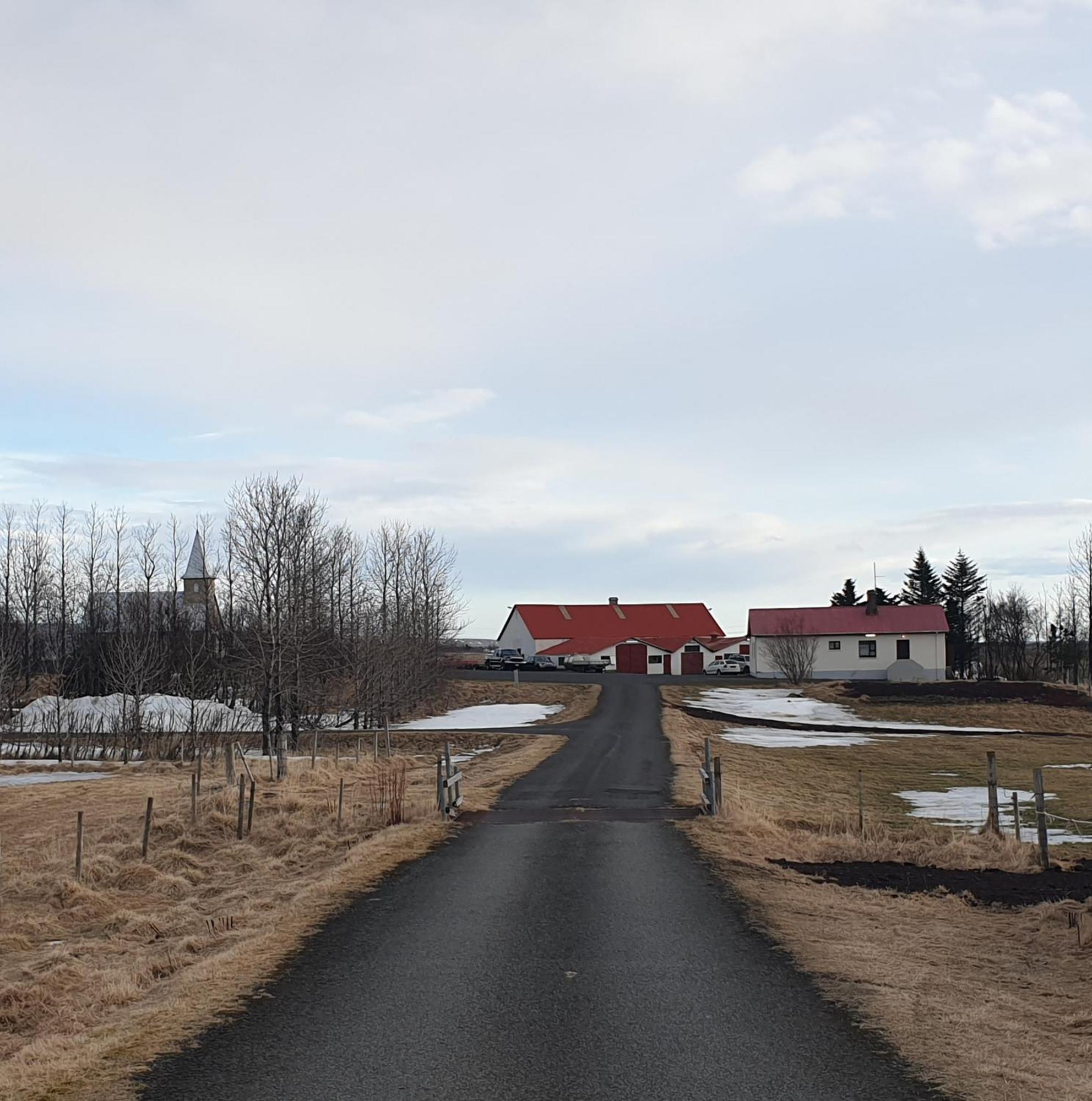 Storaborg Guesthouse Grimsnes og Grafningshreppur المظهر الخارجي الصورة